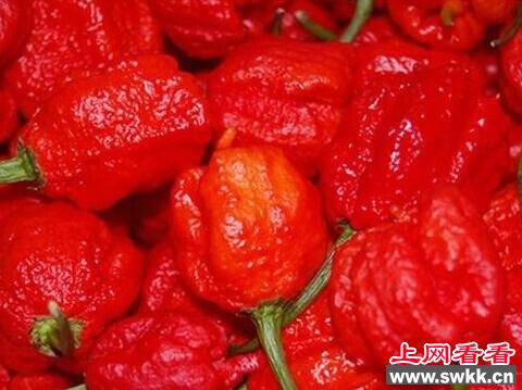 最辣的辣椒排名