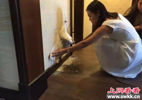 123万买精装新房剪开壁纸全是毒蘑菇