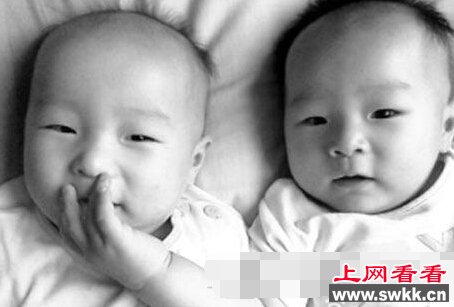 神秘转世双胞胎之谜