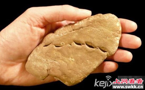 世上八大珍贵化石 可吞食恐龙的史前巨蟒
