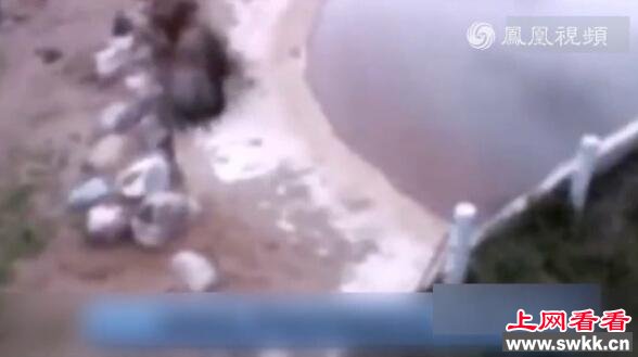 大象吃下不明物体后爆炸 瞬间变成一滩血水(组图)