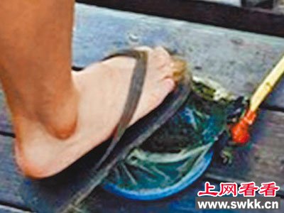 台湾高中生集体虐龟 网友：一只忧郁的台湾乌龟