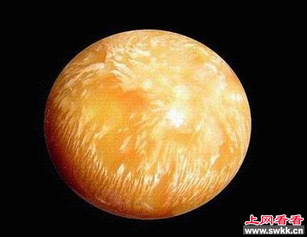 美乐珠资料图