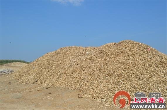 山东莱西现晒骨场白骨堆成山恶臭熏天