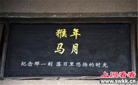 198天后将迎猴年马月 12年1次下次2028年 网友热议