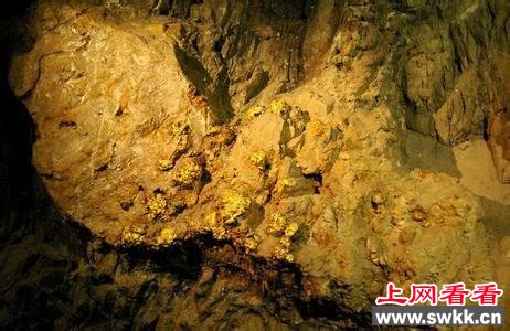 山东又发现大金矿 世界罕见特大金矿