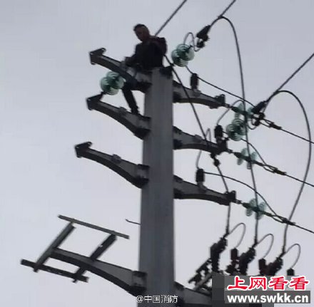 微博截图