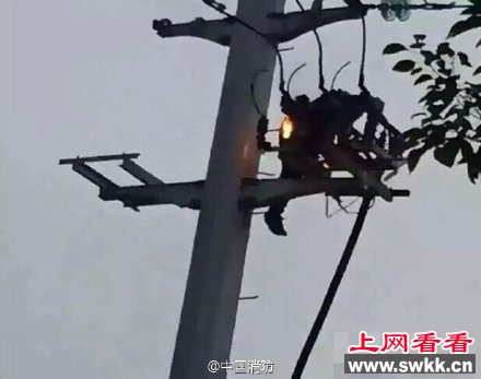 微博截图