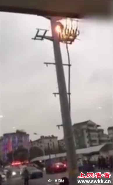 微博截图