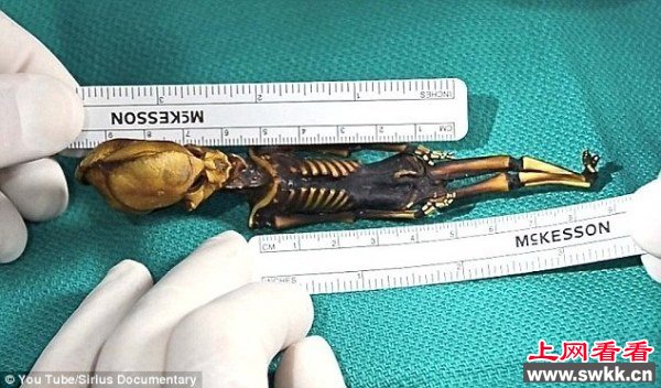 10年前智利发现的“外星人”骸骨实为突变人类