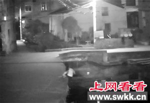 专注低头看手机，她落水溺亡