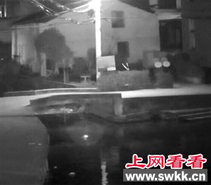 专注低头看手机，她落水溺亡