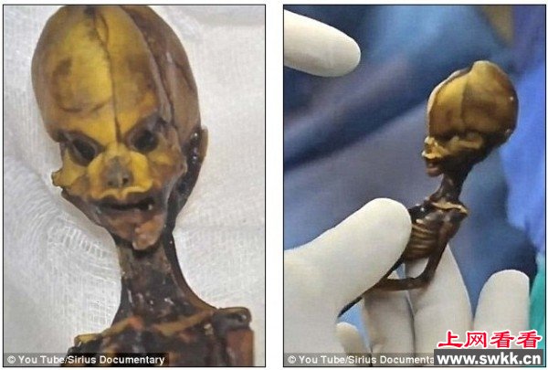 10年前智利发现的外星人遗骸身份确认！
