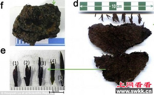 世界最古老茶叶汉景帝墓中出土 距今2150年