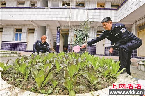 大山深处的“夫妻警务室”
