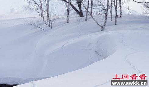 醉酒男子雪地冻死