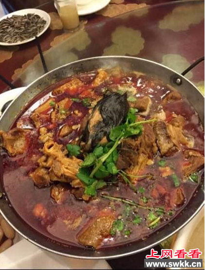 红烧牛肉中的老鼠