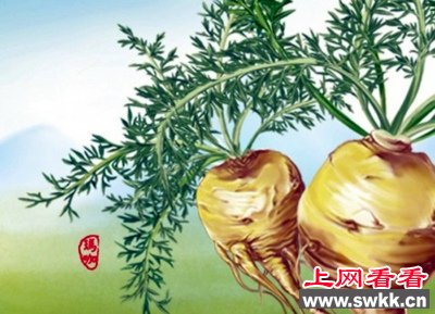 玛咖,玛咖的功效及吃法