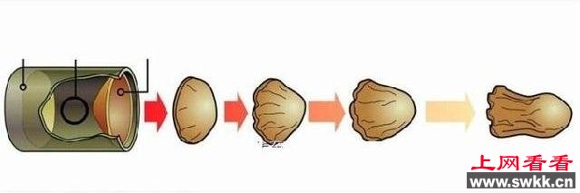 这个其貌不扬的小东西居然能射穿坦克