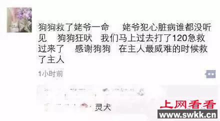 看哭了！“她”宁愿被几个小伙用烟头烫也不离开，只为了…