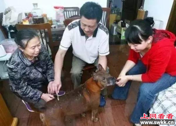 看哭了！“她”宁愿被几个小伙用烟头烫也不离开，只为了…