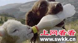 看哭了！“她”宁愿被几个小伙用烟头烫也不离开，只为了…