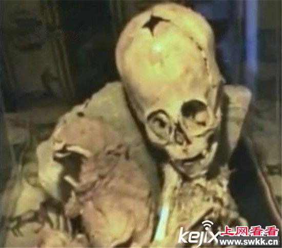 上网看看 www.swkk.com
