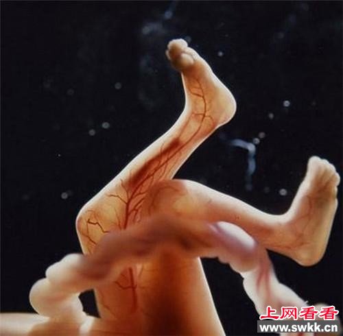 男人液体进入女人体内后 怀孕全过程上网看看www.swkk.com