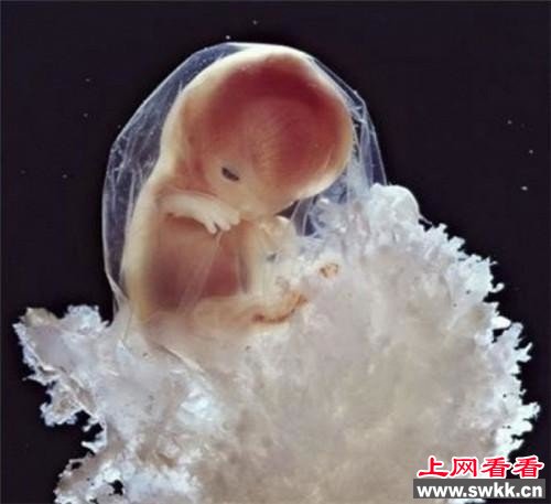 男人液体进入女人体内后 怀孕全过程上网看看www.swkk.com