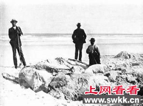 十大海怪尸体www.swkk.com