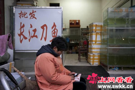 最贵长江刀鱼两条竟卖上万元 5000元一条
