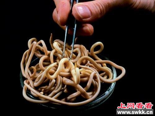 蛔虫图片