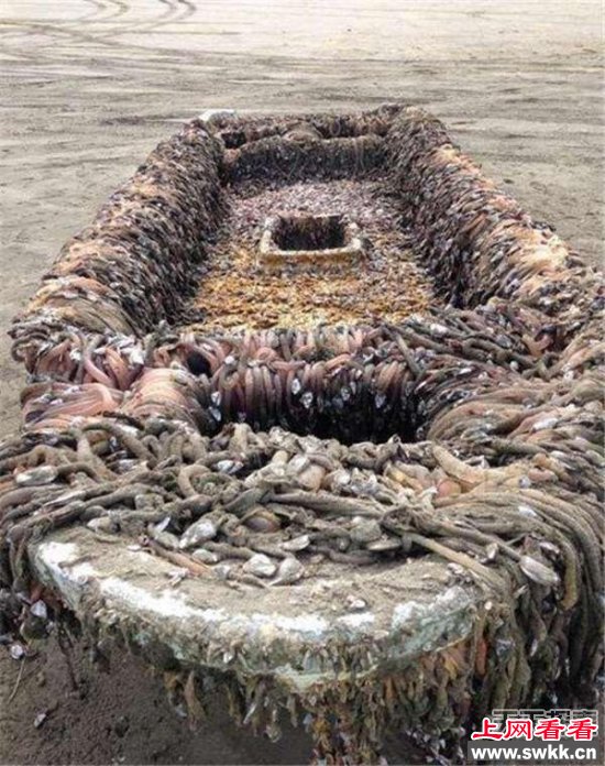 男子发现海面漂来幽灵船 上船后被吓个半死