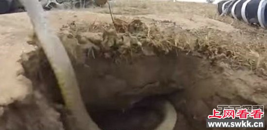 男子挖到神秘洞穴 被眼前一幕吓坏
