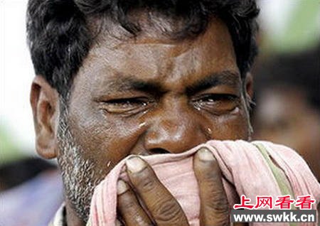用眼镜蛇泡酒一个月后打开被咬死