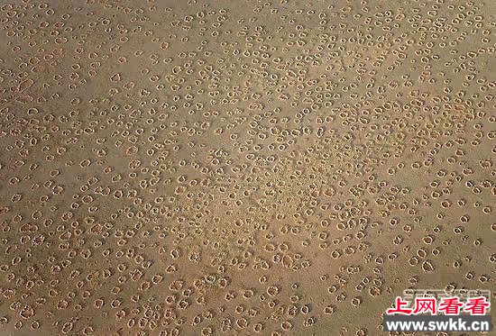 Į֡Ȧ UFO㣿