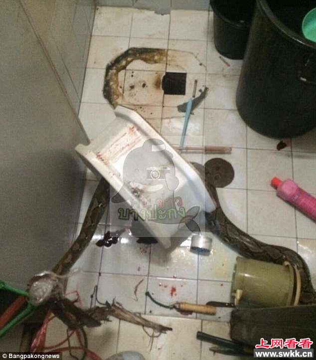 v男子厕所被一条大蟒蛇紧紧咬住了下体