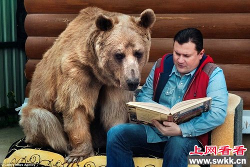 俄夫妇养熊23年每日同桌进餐一起看书