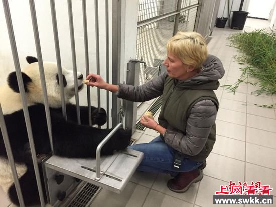 管理员喂食