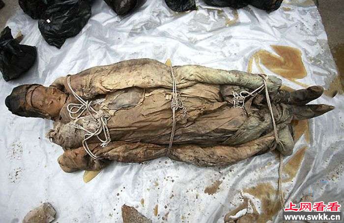 工地挖出700年前神秘木箱，工人撬开一看拔腿就跑……