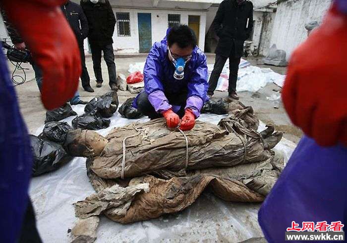 工地挖出700年前神秘木箱，工人撬开一看拔腿就跑……