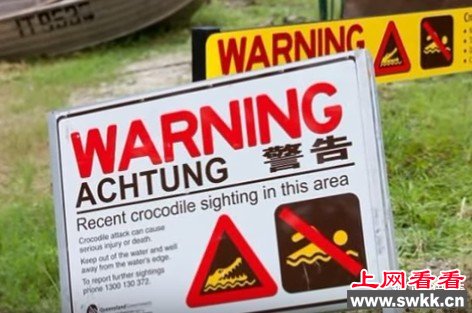 他在鳄鱼体内找到妻子遗体，处理方式感动世界！