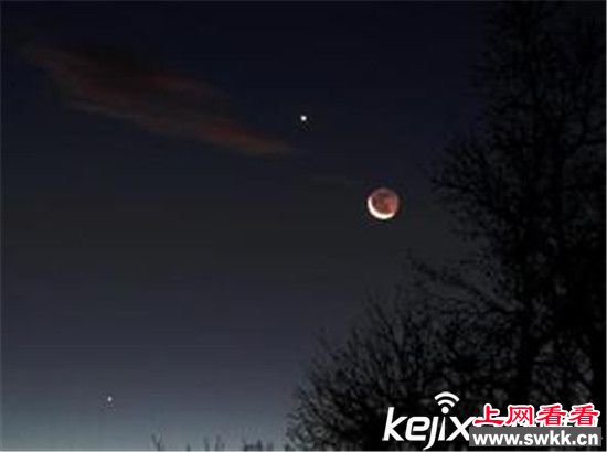 金星惊现城市遗迹 或为古生物所留