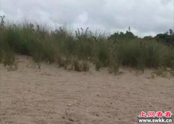 你能找到这8张照片的可怕之处吗？