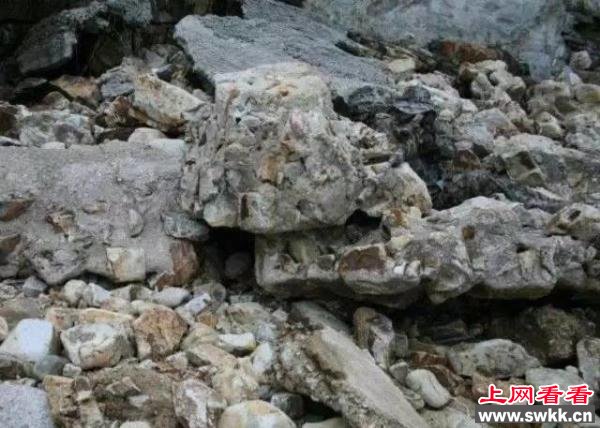 你能找到这8张照片的可怕之处吗？