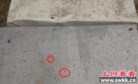 蜂蜜里有蜜蜂的排泄物么？
