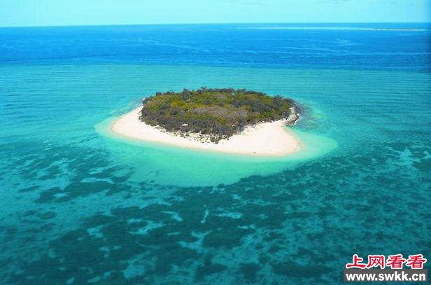 被诅咒的岛：帕尔米亚岛一直怪事不断
