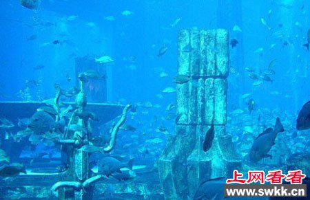 海洋底部居然发现平行宇宙？！