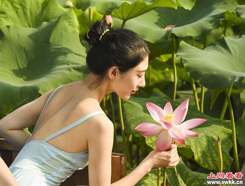 美女采莲大秀好身材 男人神往女人羡慕!