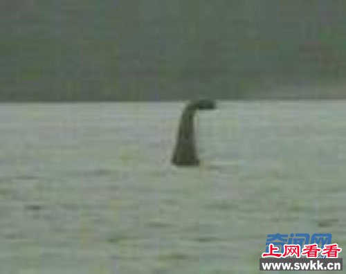 尼斯湖水怪